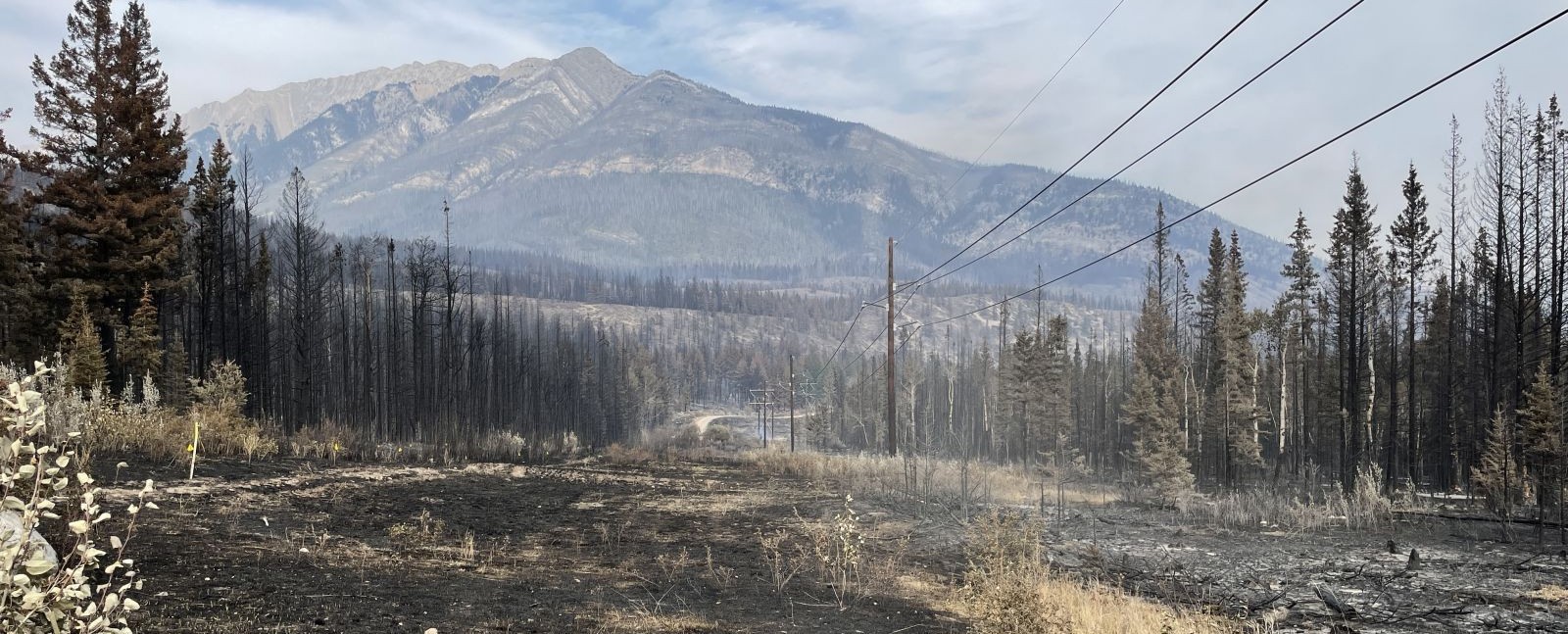 Jasper Wildfire Stable Power Returns To Municipality Citynews Edmonton