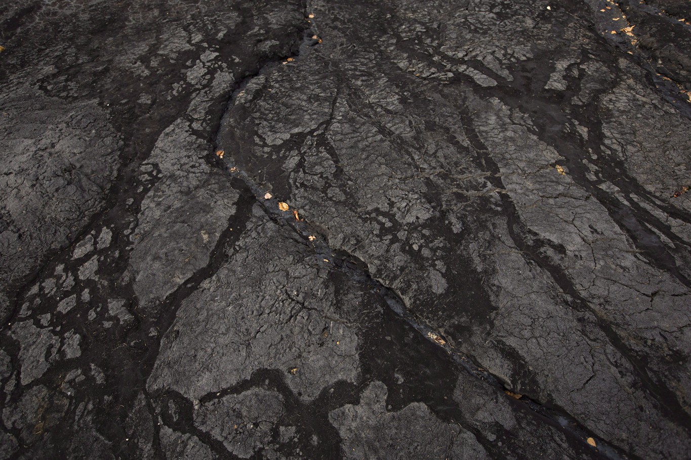 Price discount for oilsands bitumen should boost cash flows: Analysts ...