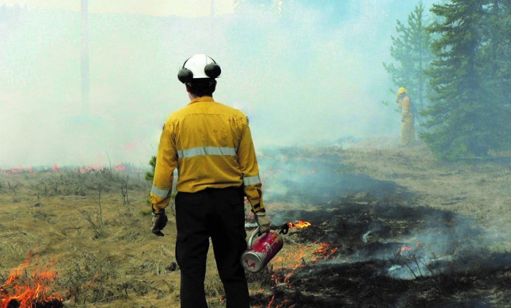 Alberta Wildfire Jobs / Wildfire Crew Member Training North Island