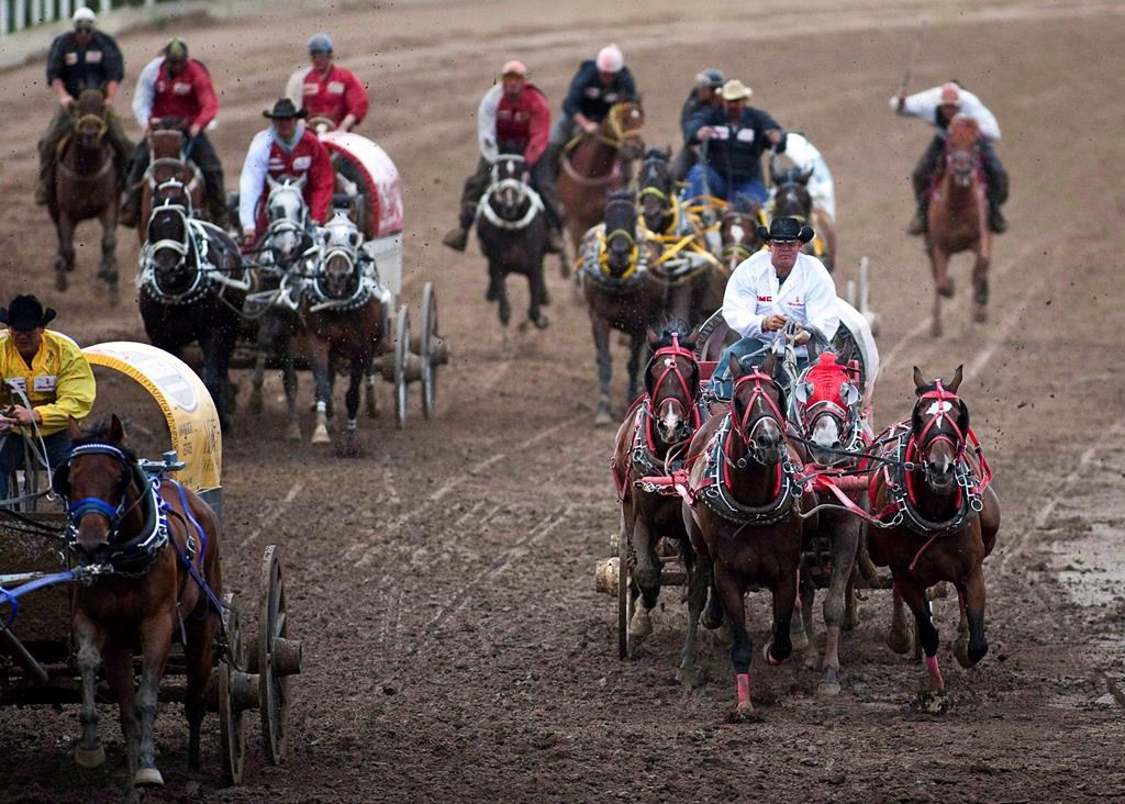 Optimism growing that Calgary Stampede and rodeos will go ahead this summer