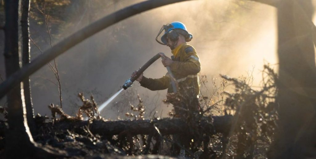 Alberta Wildfire begins firefighter recruitment testing