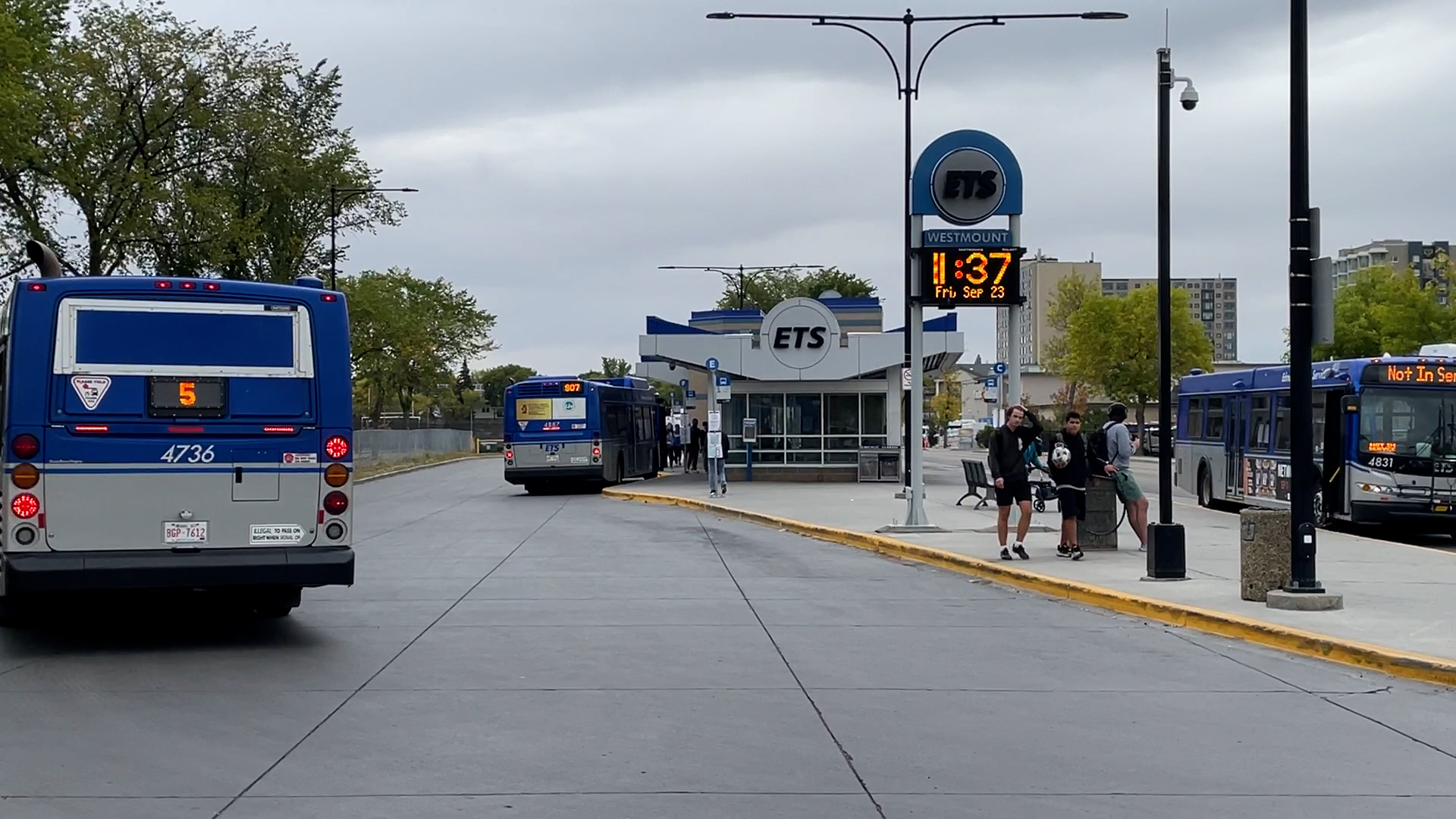 are dogs allowed on edmonton transit