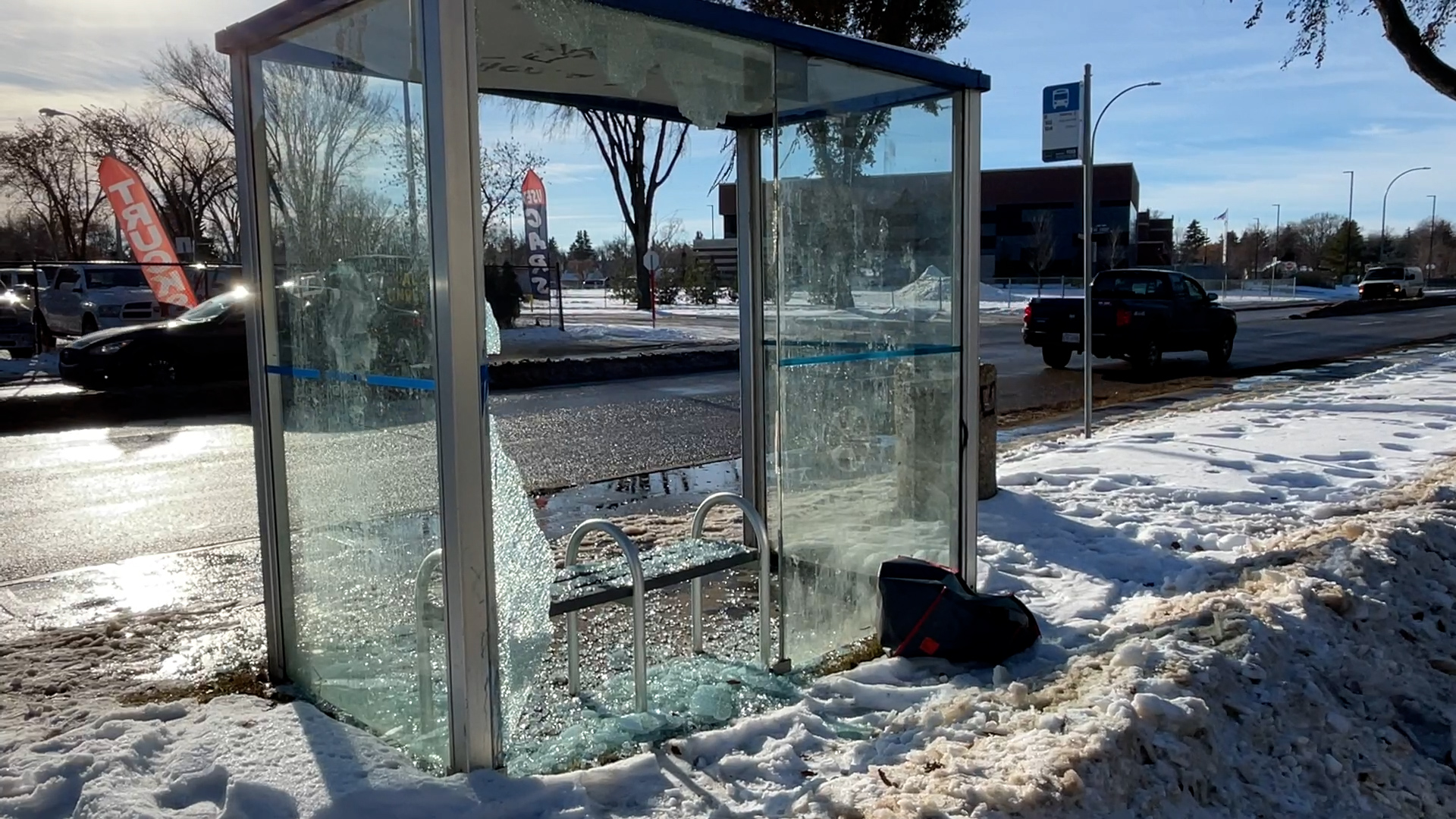 Edmonton Bus Shelter Vandalisms Citynews Edmonton