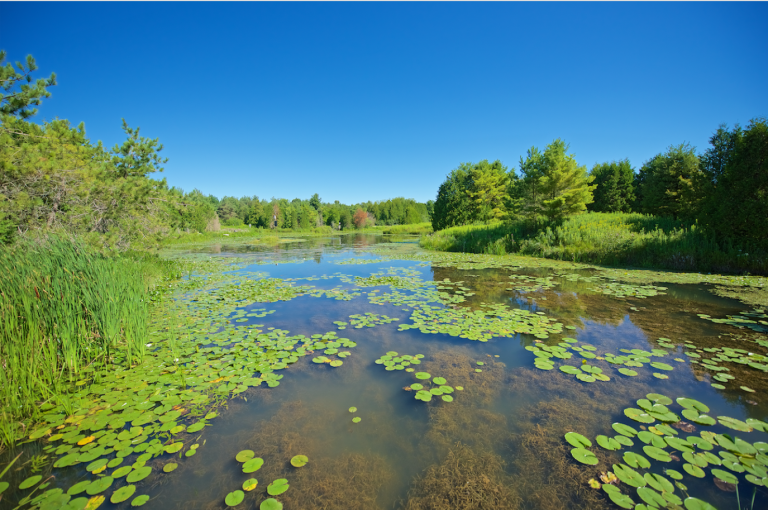 ontario-s-massive-greenbelt-scandal-explained-in-full