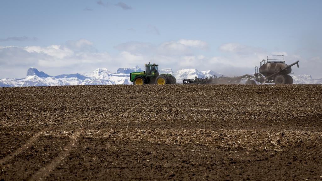 Alberta farmers experiencing drought
