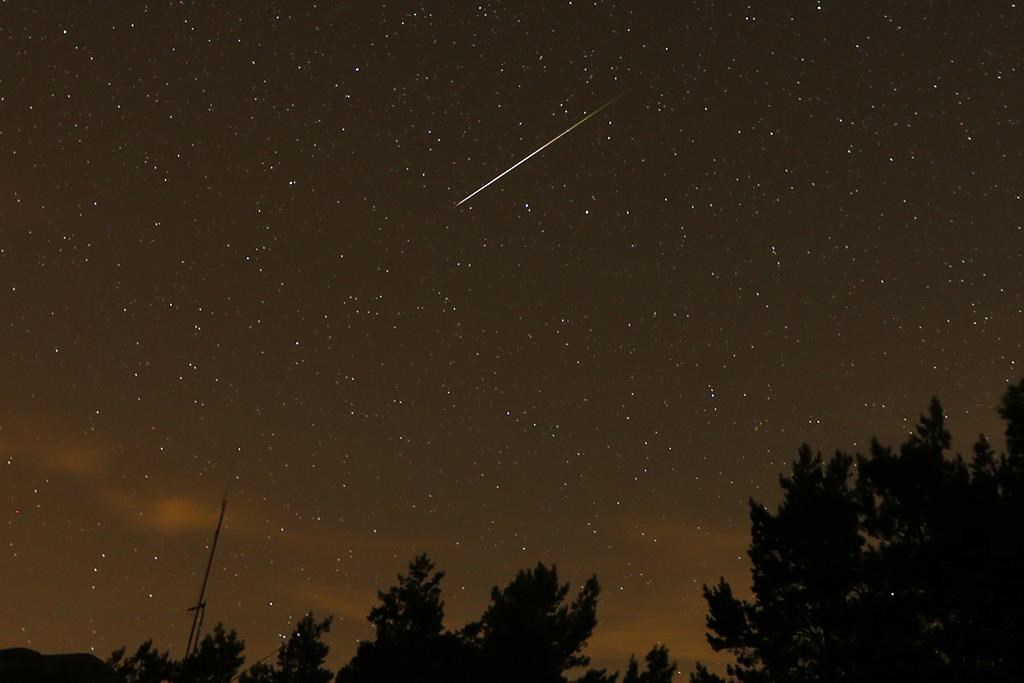 Look, up in the sky: The Perseid meteor shower peaks this weekend