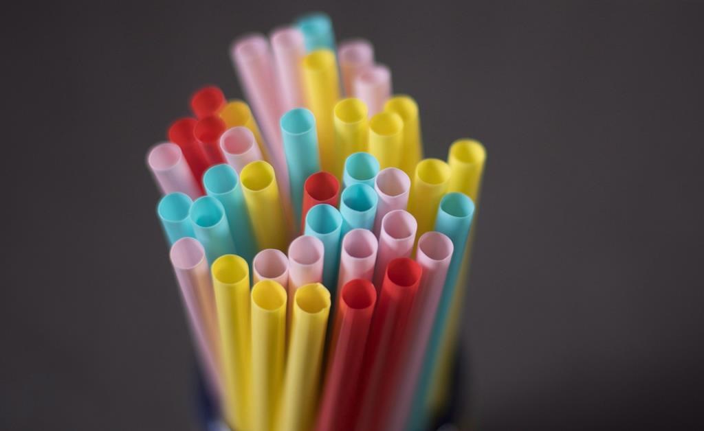 Federal court quashes cabinet order underlying single-use plastics ban