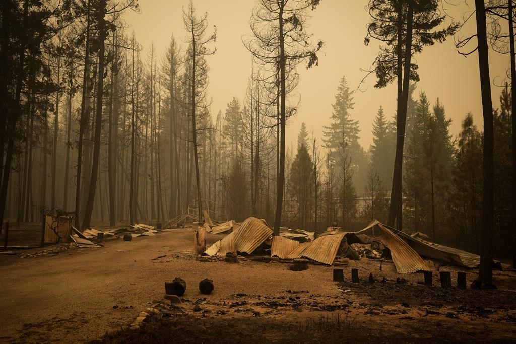 Study says buffers, fire resistant materials could slash wildfire risks to residences
