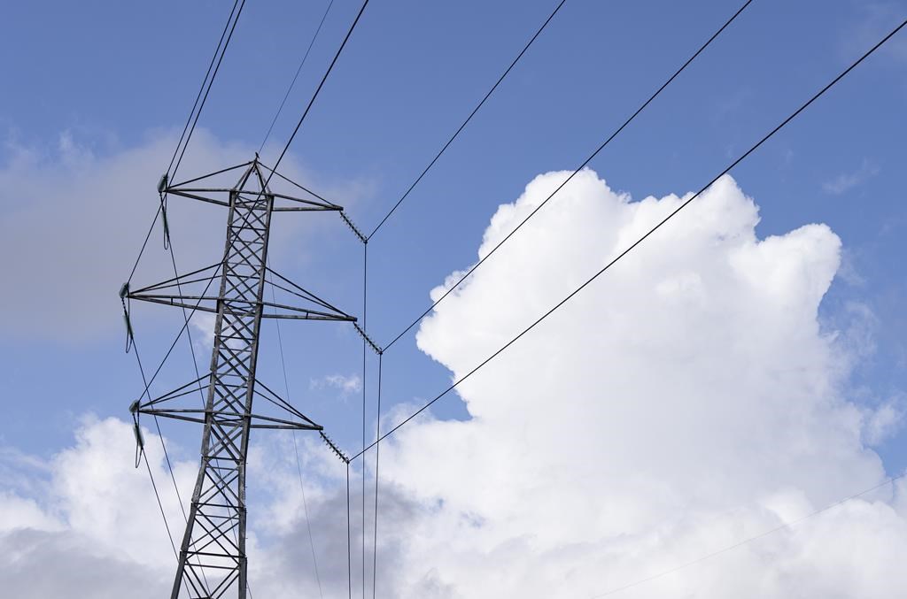 Alberta taking steps to make electricity affordable, dropping Regulated Rate Option title