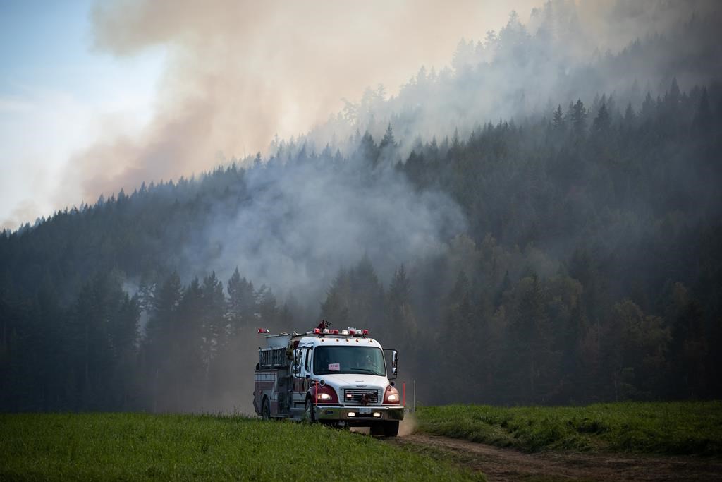 Urban firefighters to get additional training to also battle wildfire blazes