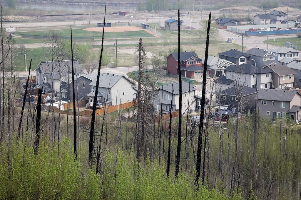Continued rain helps crews in Fort McMurray