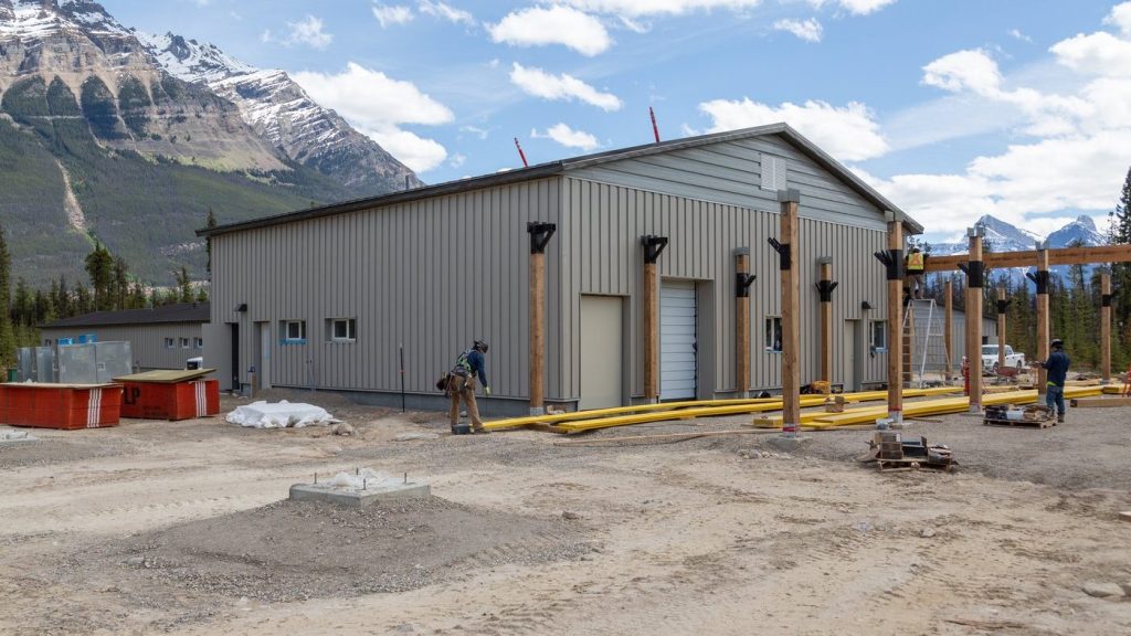 Jasper captive caribou breeding program slowly recovers from summer wildfire