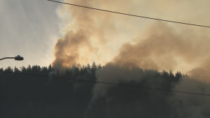 Squamish wildfire grows to 54 hectares, forces evacuation of provincial park