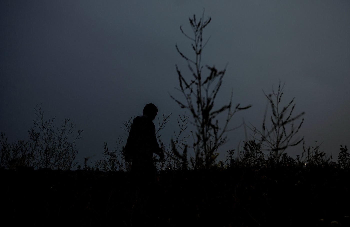 edmonton.citynews.ca