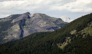 Coal mines on Alberta’s eastern slopes could push fishery ‘beyond recovery’: study