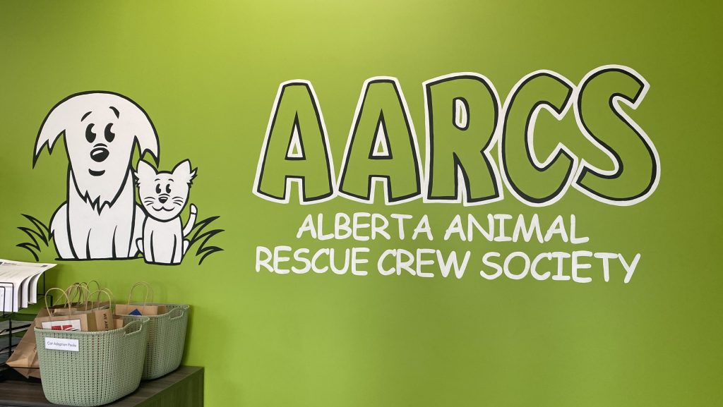 Thieves steal cash, electronics from Edmonton animal rescue