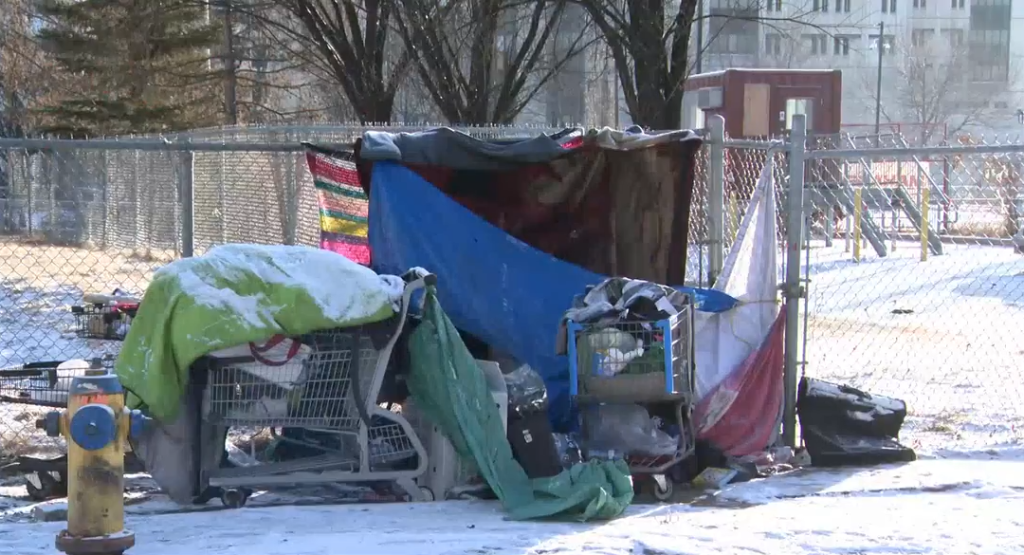 Edmonton homeless camp near Bissell Centre reappears days after it was dismantled