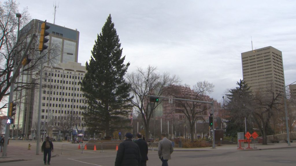 Edmonton plans sustainable, cost-effective Christmas tree at Churchill Square