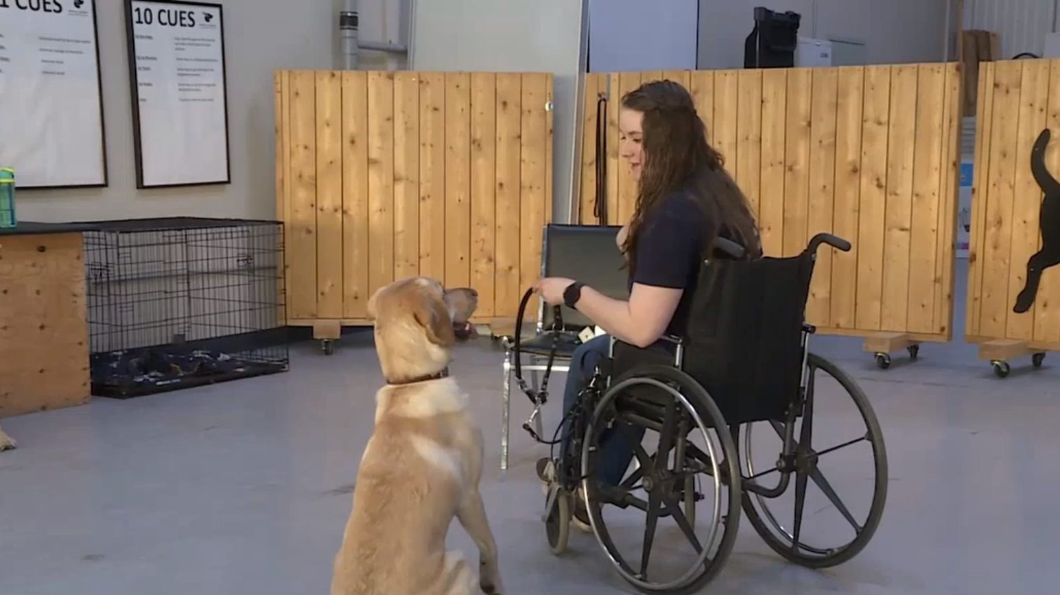 Edmonton nonprofits seeing shortage in volunteers CityNews Edmonton