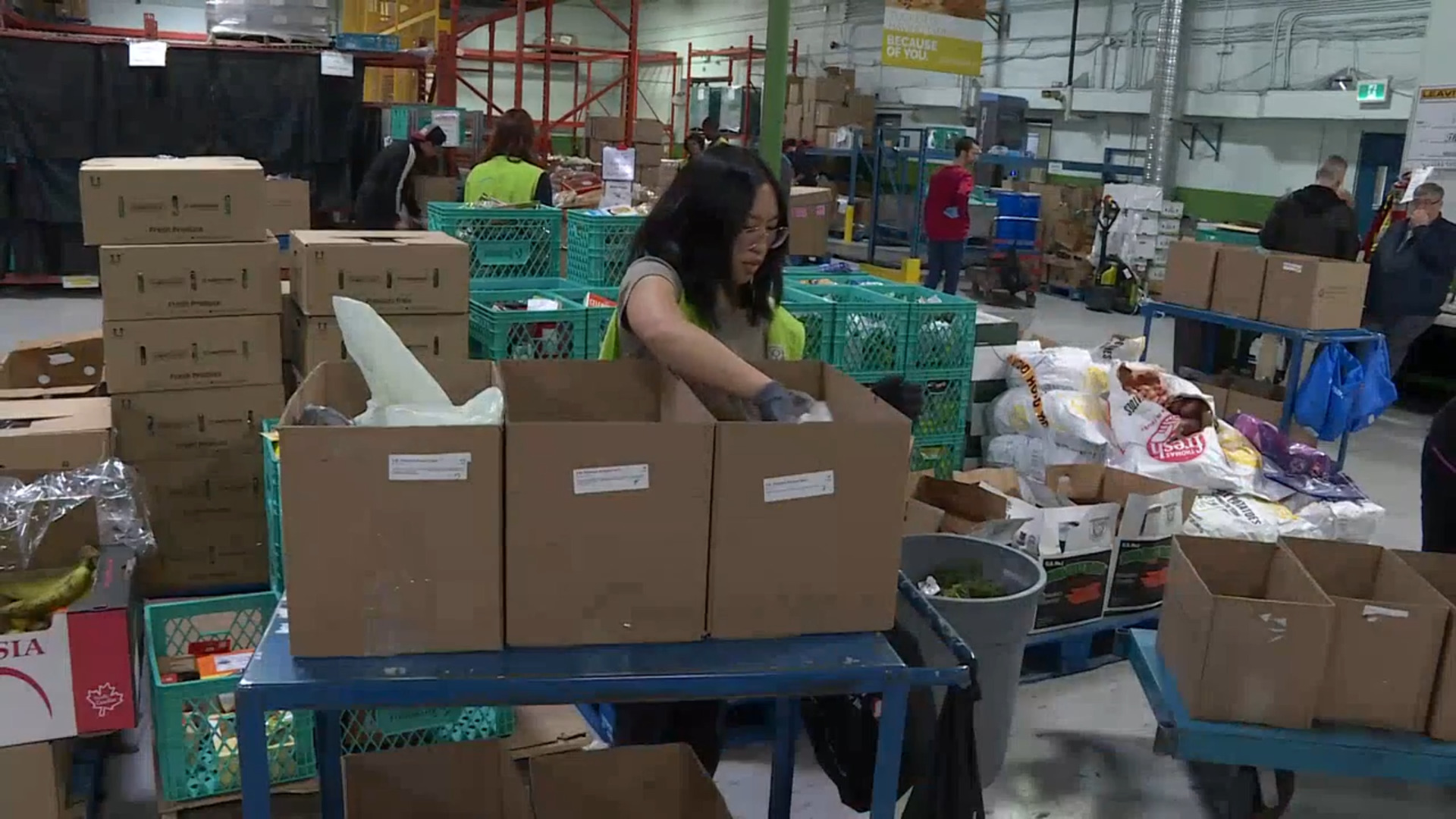 Food Insecurity Alberta Announces 10 Million For Food Banks   Edmonton Food Bank 