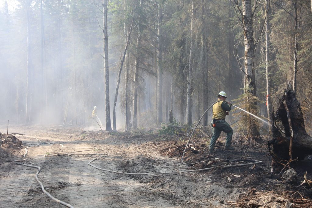 Alberta brings in additional arson investigators to trace causes of wildfires