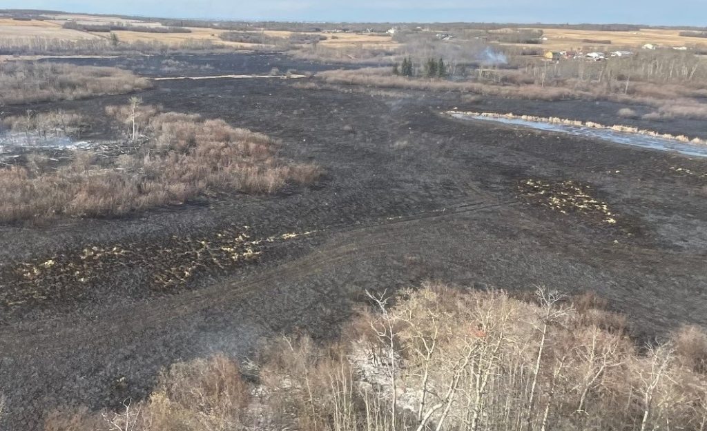 60-hectare brush fire north of Grande Prairie could take days to extinguish: officials