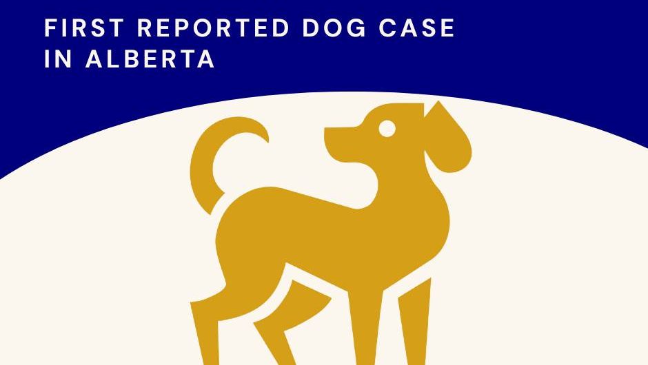 Alberta animal welfare agency says dog that tested positive for avian flu has died