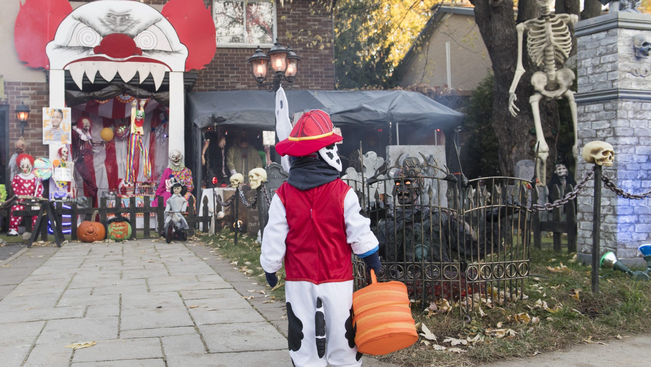 Halloween candies are smaller and cost more this year CityNews Edmonton