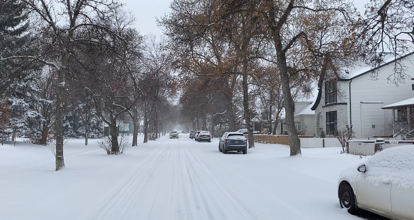 Snowfall warning for Edmonton, up to 25cm of snow expected this weekend: ECCC