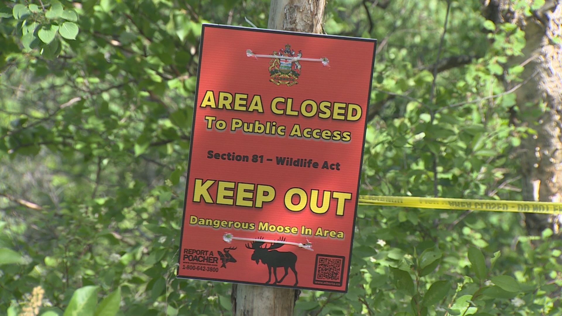 Sturgeon County issues evacuation order due to wildfire