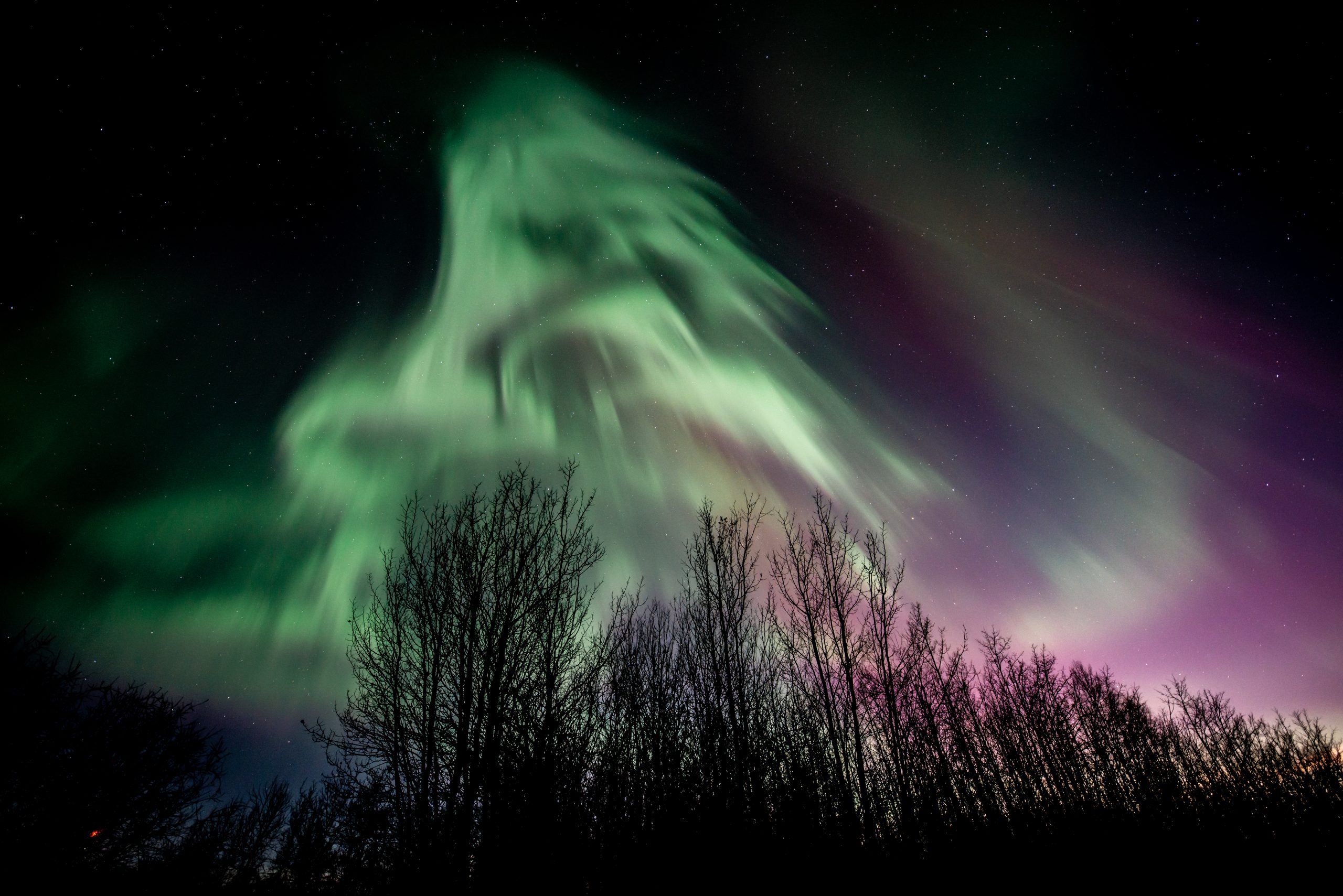 More chances to see northern lights in Alberta on the way