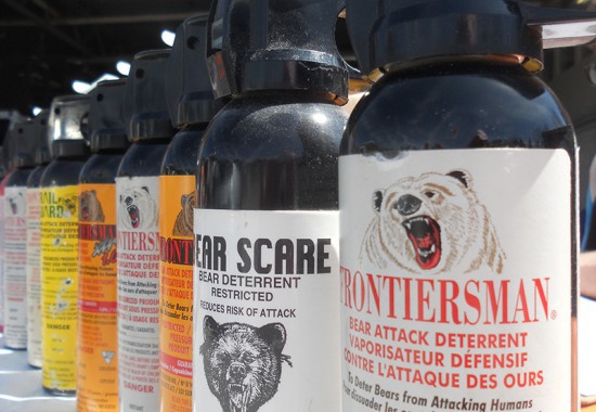 Edmonton considering restricting bear, pepper sprays