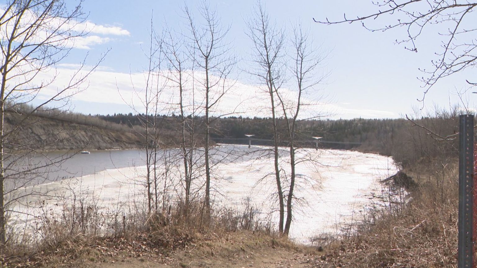 Edmonton firefighters rescue two dogs from the river at Terwillegar dog ...