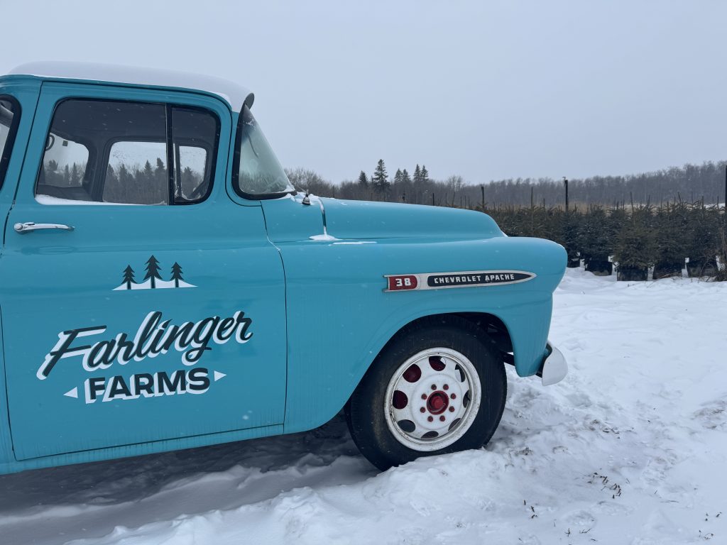 Farlinger Farms offers Christmas tree rental program for it's fifth year