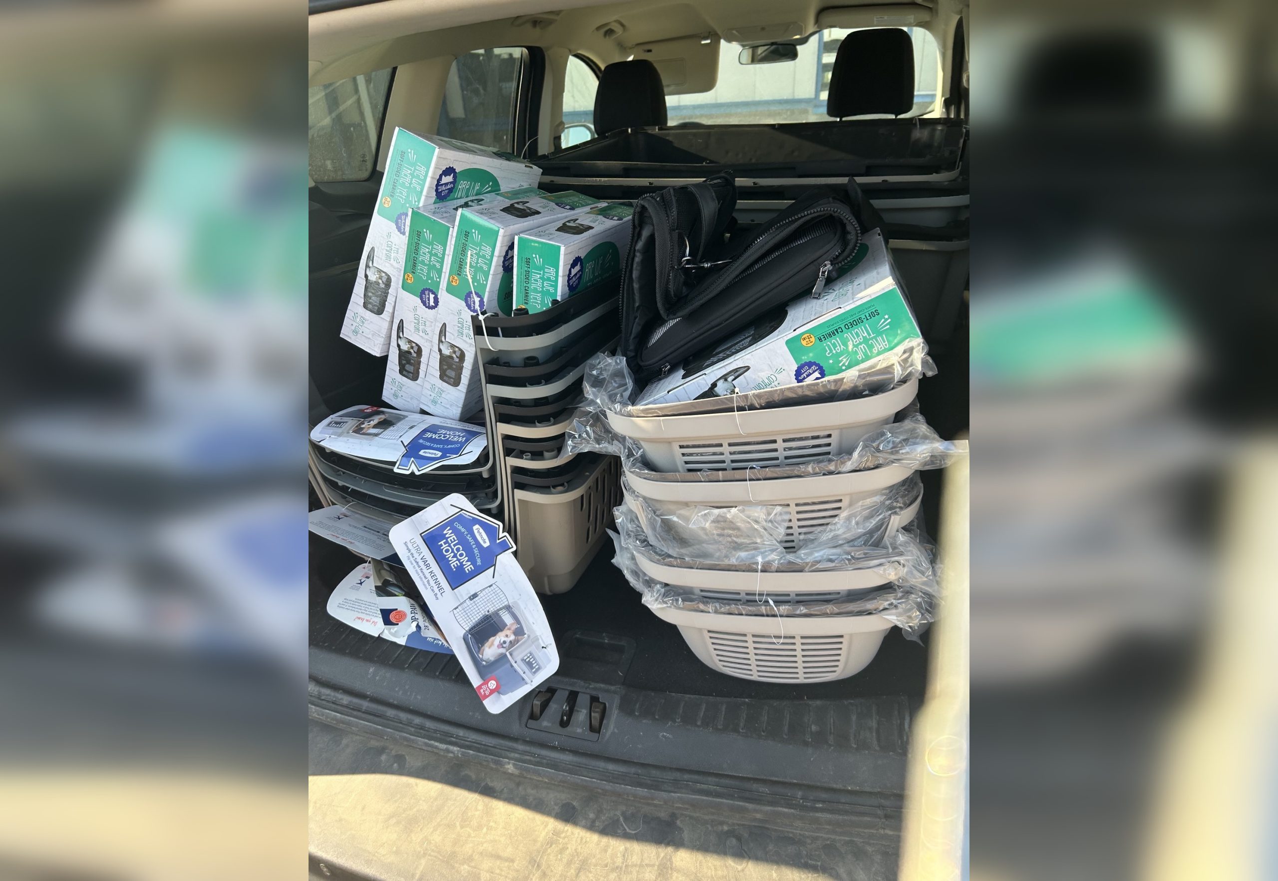 Edmonton animal group sending crates to Yellowknife to help save pets