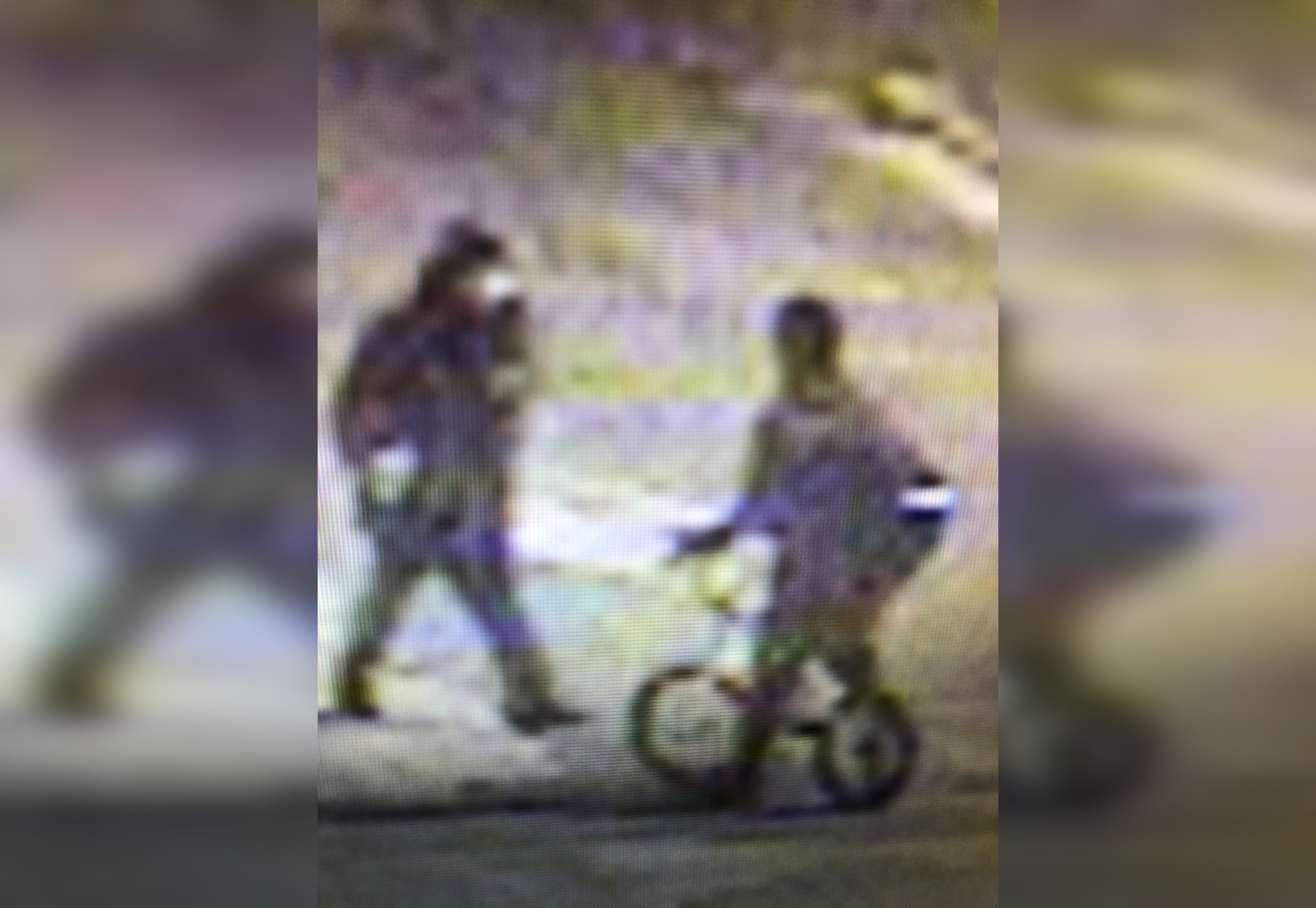 Edmonton Police Looking For Suspects Citynews Edmonton